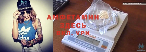 ешки Аркадак