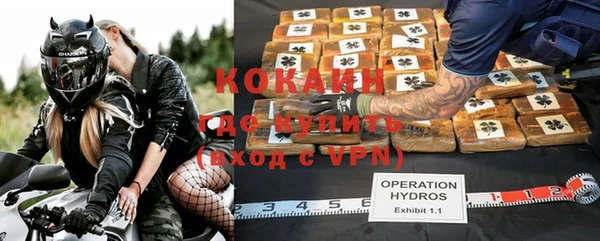 ешки Аркадак