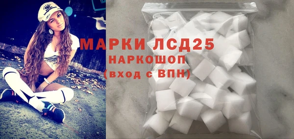 ешки Аркадак