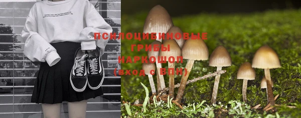 тгк Армянск