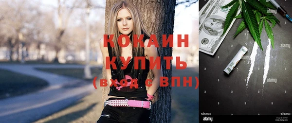 ешки Аркадак