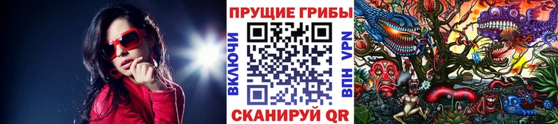 Галлюциногенные грибы мицелий  Хвалынск 